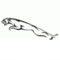 Official Jaguar Logo